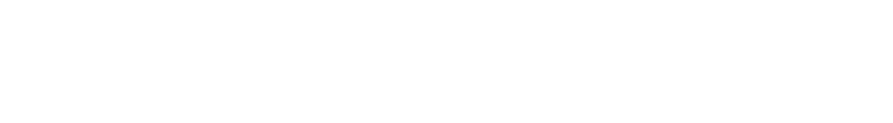 Vivacity LEAP
